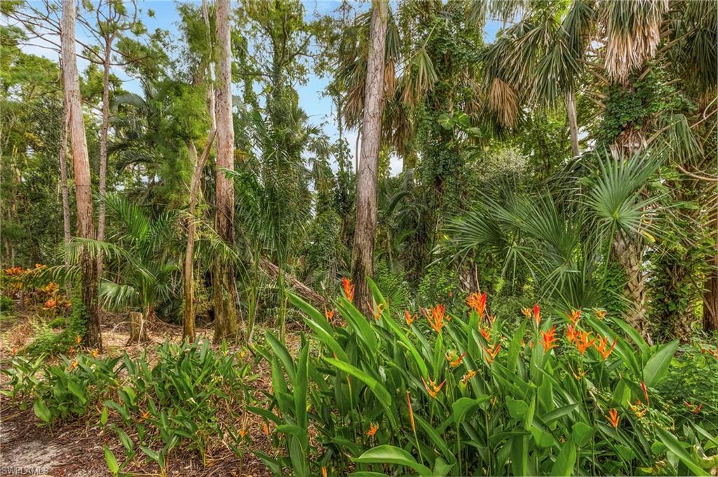 GLEN ABBEY AT FIDDLESTICKS - Residential