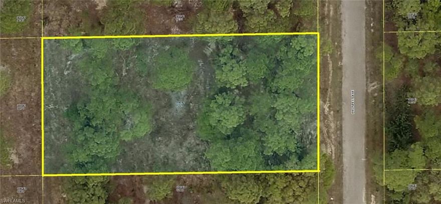 Really nice high and dry generous oversized home site (width 105' x 210' deep +/- ... OVER 1/2 acre +) home-site in a quiet area of LEHIGH ACRES. This property has mature trees, mostly pines with low secondary growth/grasses with a highly desirable Western views at the rear of the home site with quick and easy access to Joel Boulevard. Eastern views facing the street. Build your dream or vacation home now and/or save this special area very quiet area oversize home-site for later. Don't miss this unique opportunity to purchase this lot for only $8,995 with SELLER DIRECT FINANCING with $0 (ZERO) down, no credit or job check or income verification for ONLY $98.00 per month payment. Personal checks are OK. Call today... you'll be glad your did