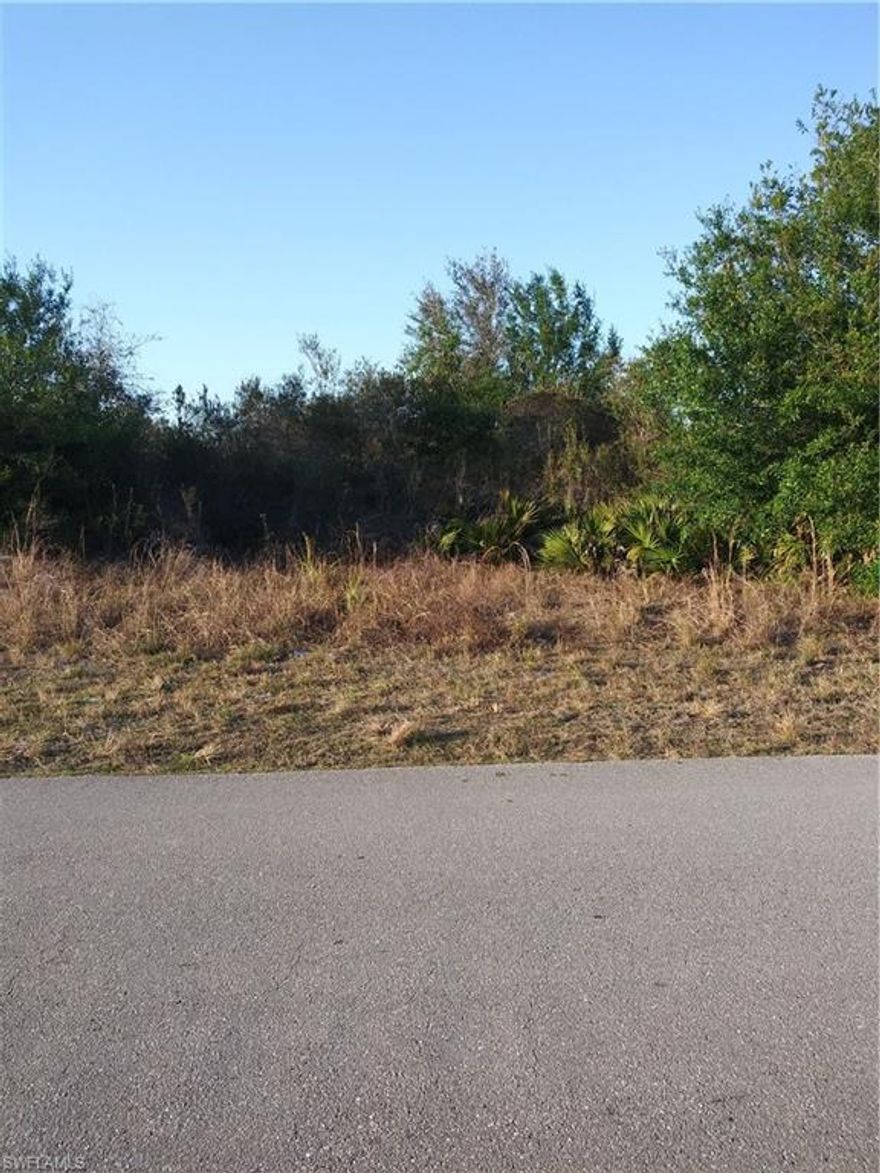 Great lot , bring your ready buyer , no seller disclosure 
  buyer needs to due their due diligence before sending 
   their  contract , but Seller has no knowledge of anything
wrong with the Lot .