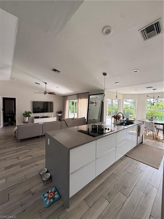 SAN CARLOS PARK - Residential