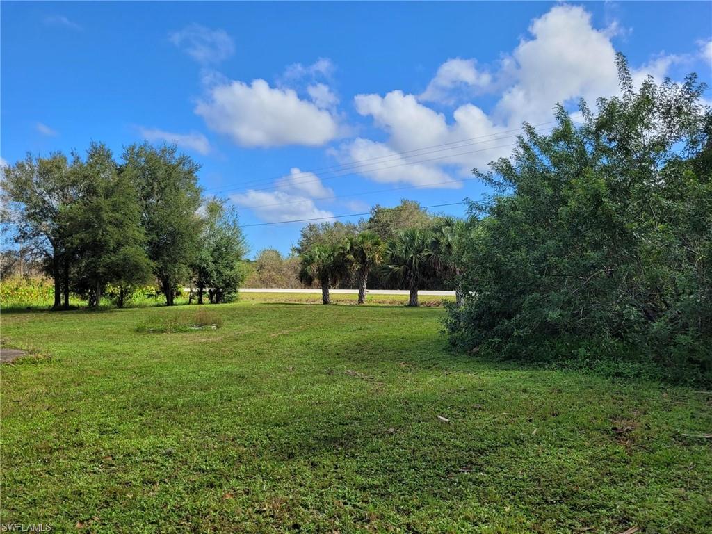 PIONEER PLANTATION - Land