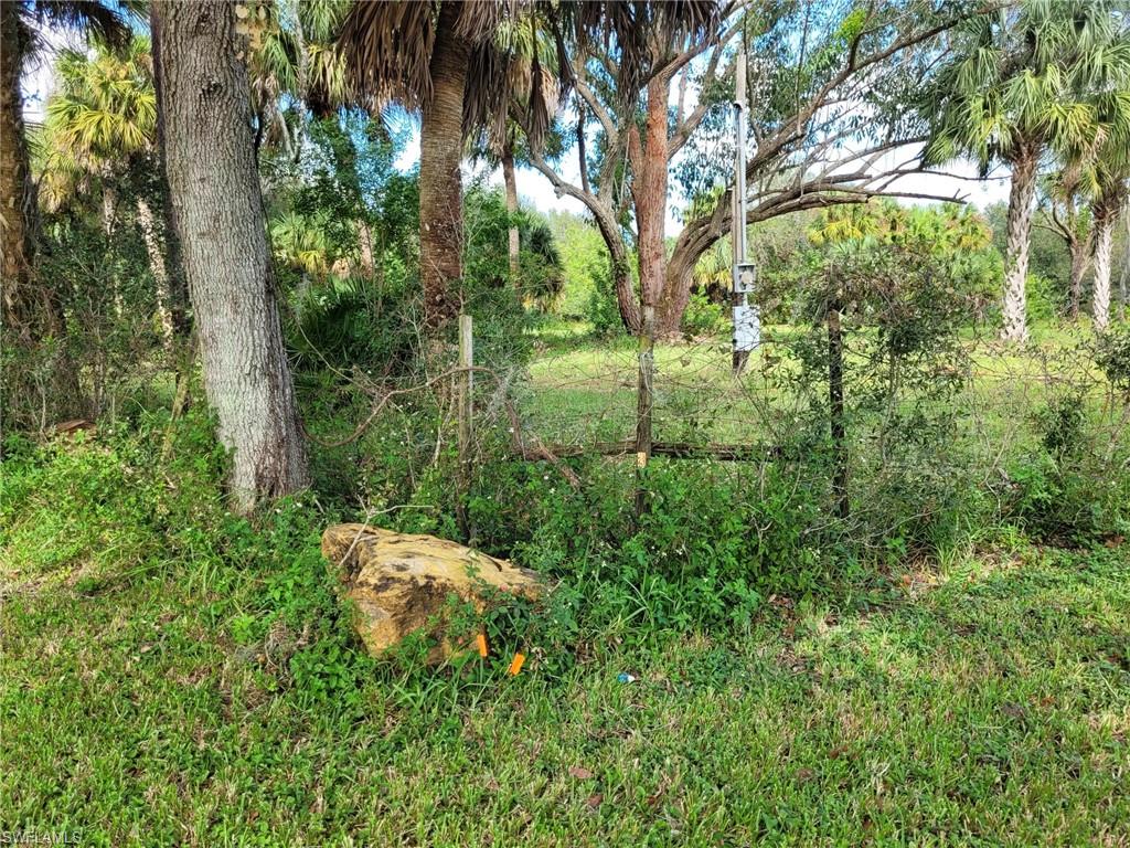 PIONEER PLANTATION - Land