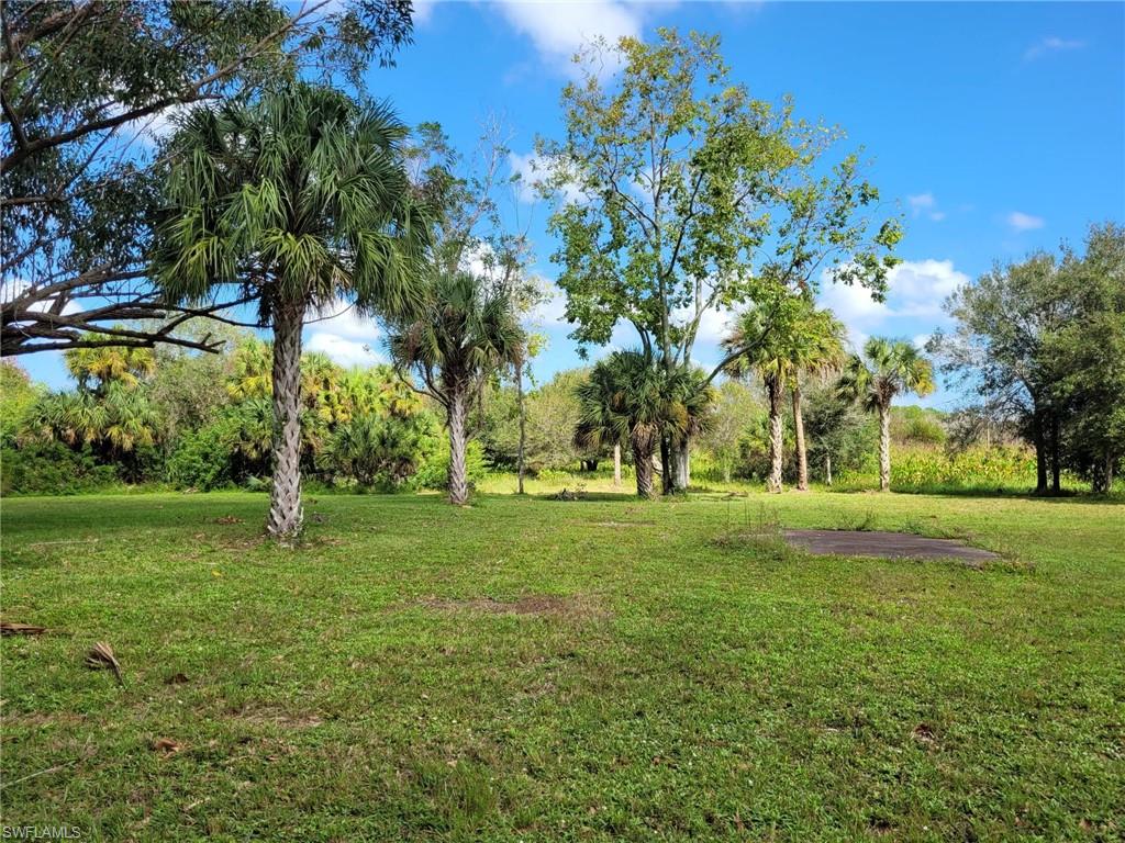 PIONEER PLANTATION - Land