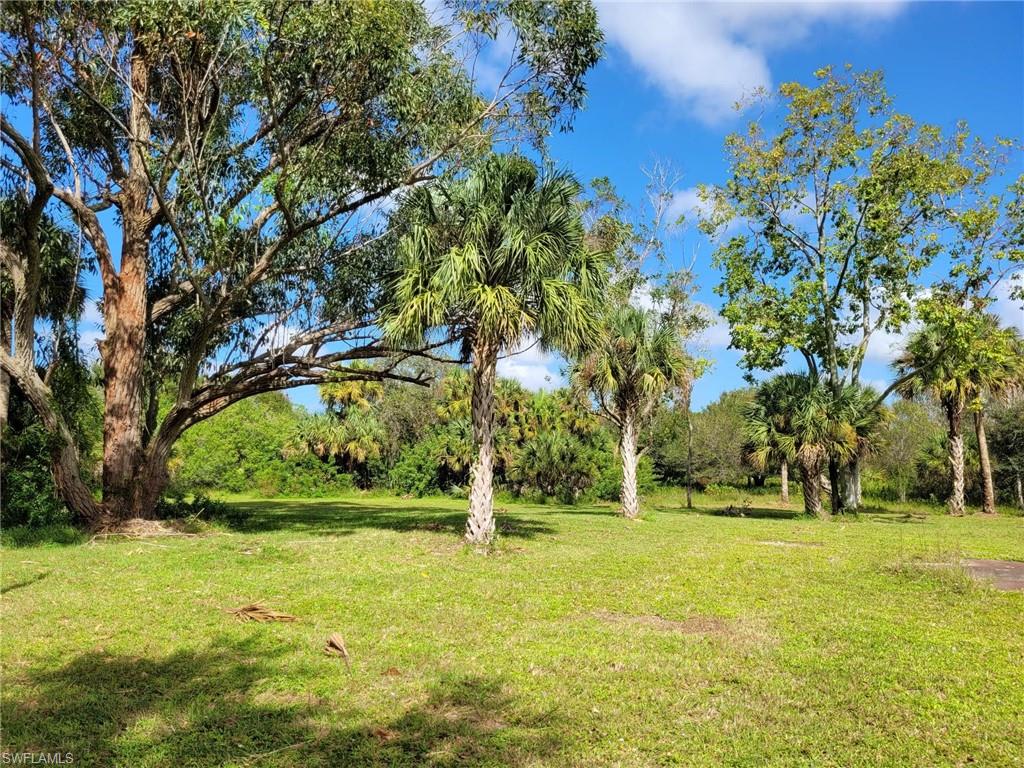 PIONEER PLANTATION - Land