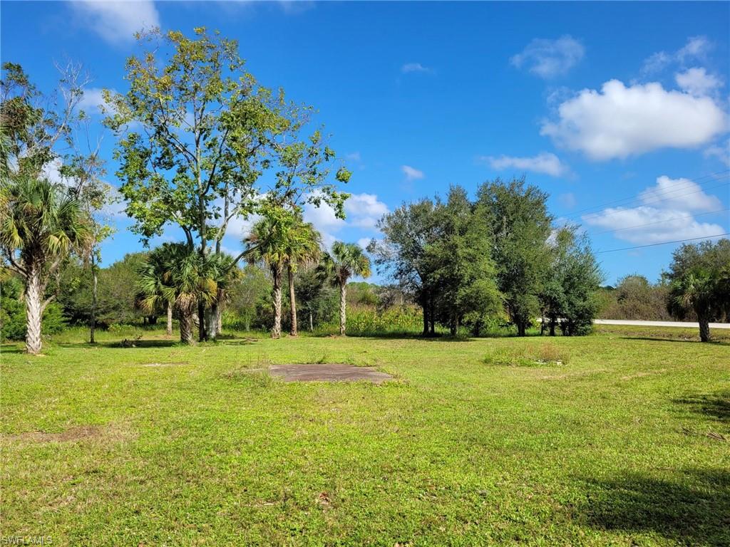 PIONEER PLANTATION - Land