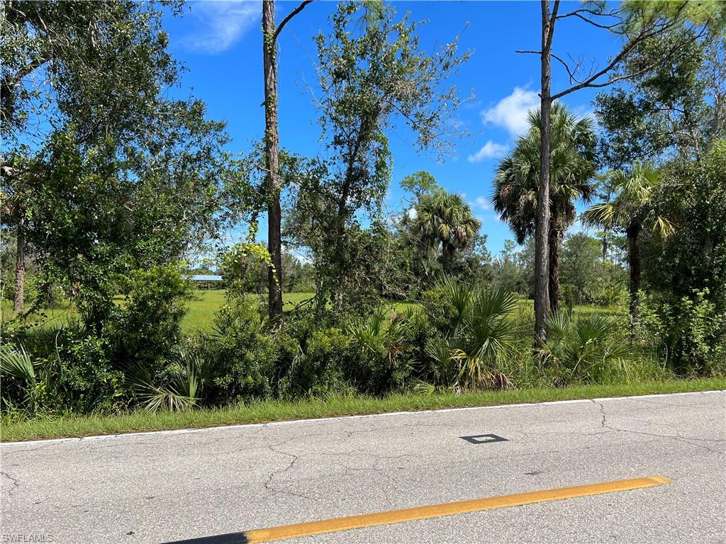 NORTH FORT MYERS - Land