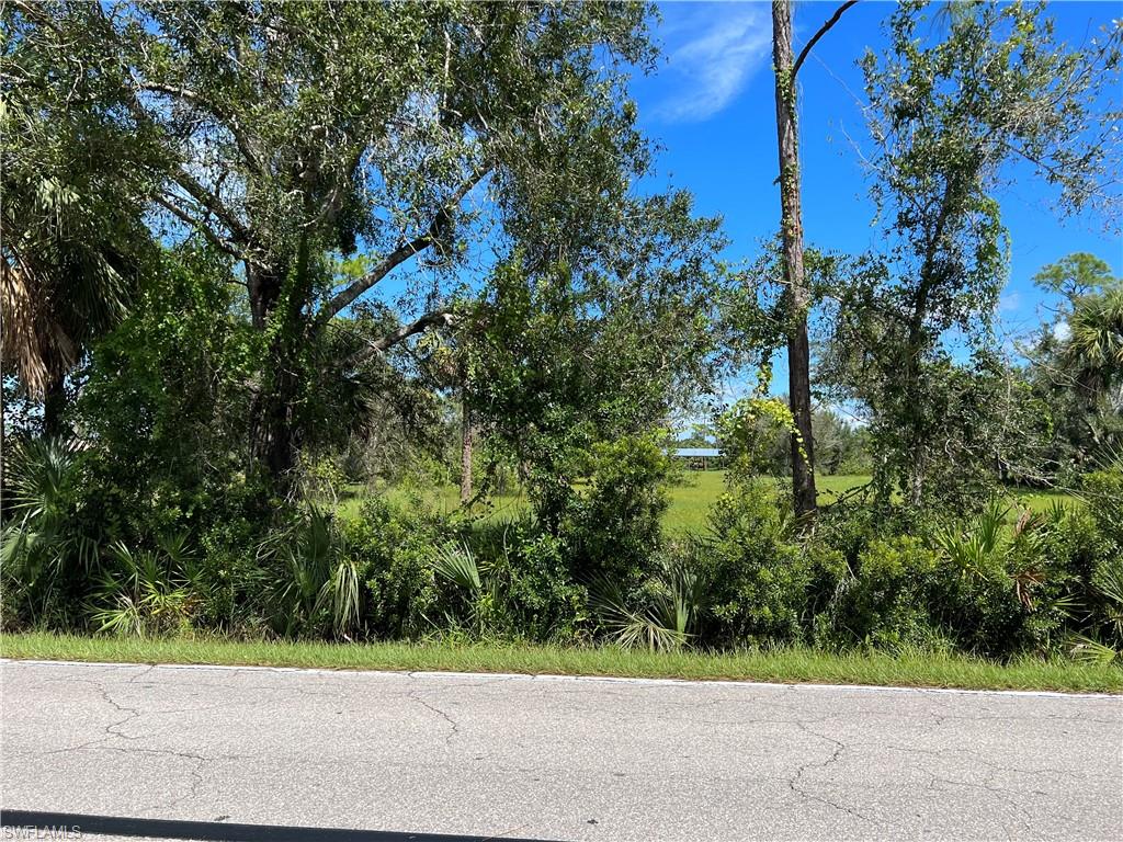 NORTH FORT MYERS - Land