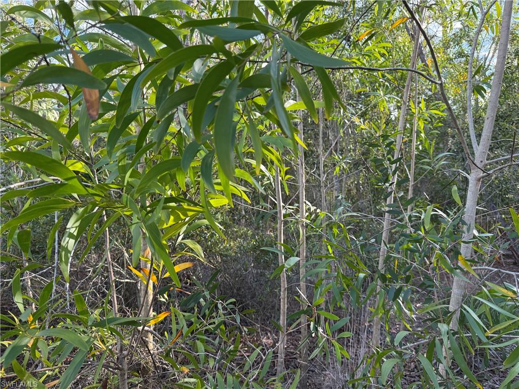 SUNDIET VILLAGE - Land