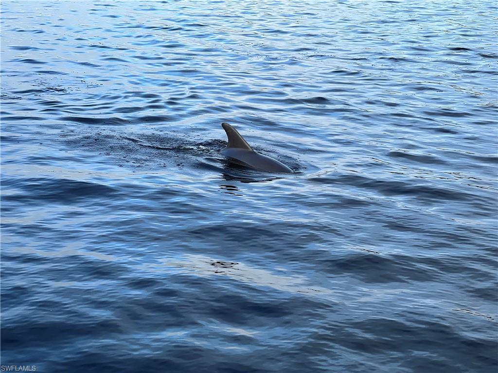 SCHOONER BAY - Residential