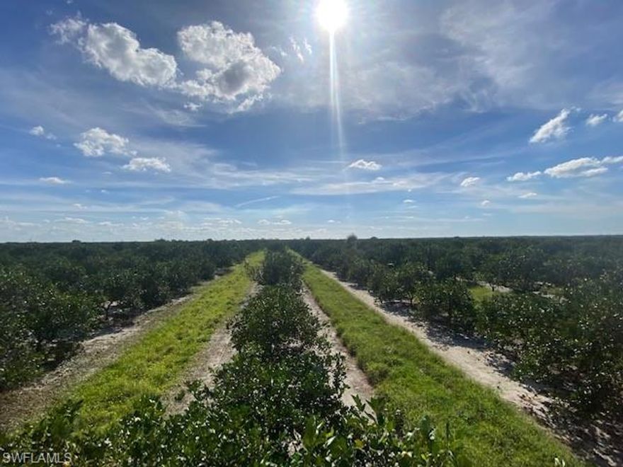 635+ Total Acres with approximately 475 acre income producing Orange Grove. This property features Hamlins and Valencia orange trees, a 12” permitted well and barn. In addition, there is a small cabin with beautiful woods. This secluded location is abundant with wild game including hogs, deer and turkeys. This property is located off Hwy 31, centrally located within 20 miles to either Arcadia or Ft. Myers. Don’t miss this opportunity!