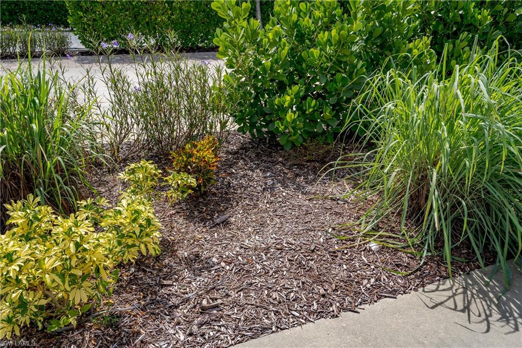 NAPLES MOTORCOACH RESORT - Land