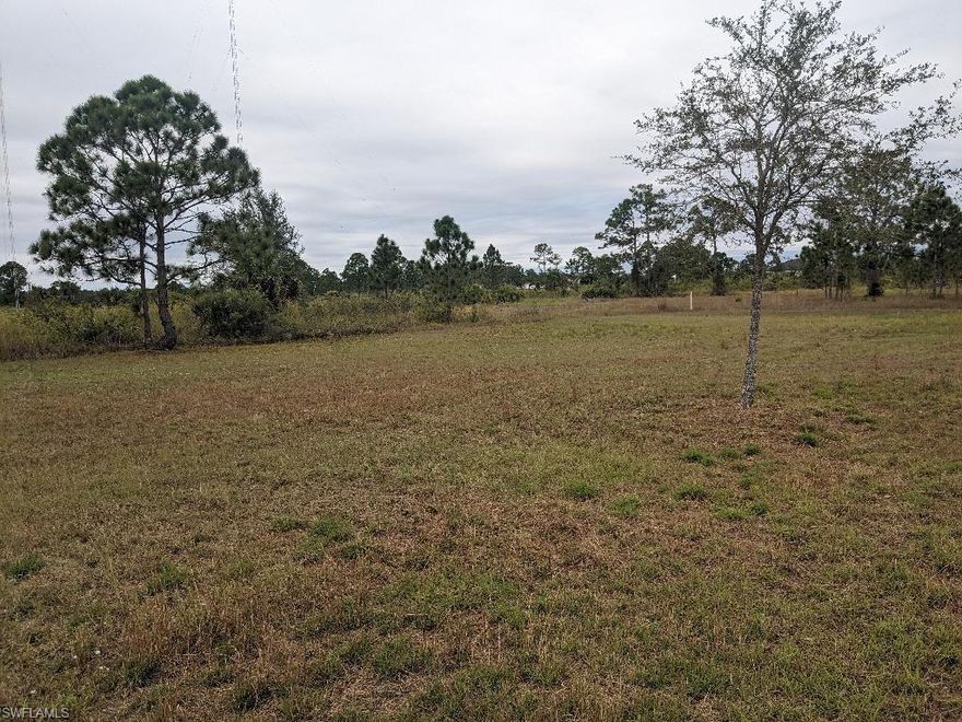 **1.25 OVERSIZED ACREAGE OF LAND AVAILABLE NOW IN WHEELER!! ** Embrace the opportunity to craft your perfect sanctuary, complete with cherished farm animals, or seize the chance to hold onto this prized asset for its potential long-term value appreciation. Located just moments away from Lehigh Acres, the property promises utter convenience with effortless access to major thoroughfares leading into Fort Myers, unlocking an exclusive gateway to the endless wonders of Southwest Florida. Immerse yourself in the vibrant atmosphere of spring training for renowned baseball teams, including the Red Sox and Twins. Indulge in a delectable array of culinary delights, ranging from exquisite fine dining to laid-back eateries. Surround yourself with sprawling shopping districts that offer an ever-expanding assortment of retail therapy. Bask in the year-round radiance of the sun and delight in miles upon miles of pristine sandy beaches, granting you an idyllic coastal lifestyle. Opportunities such as this are truly rare – take the first step towards securing this remarkable gem and inquire today for further details.