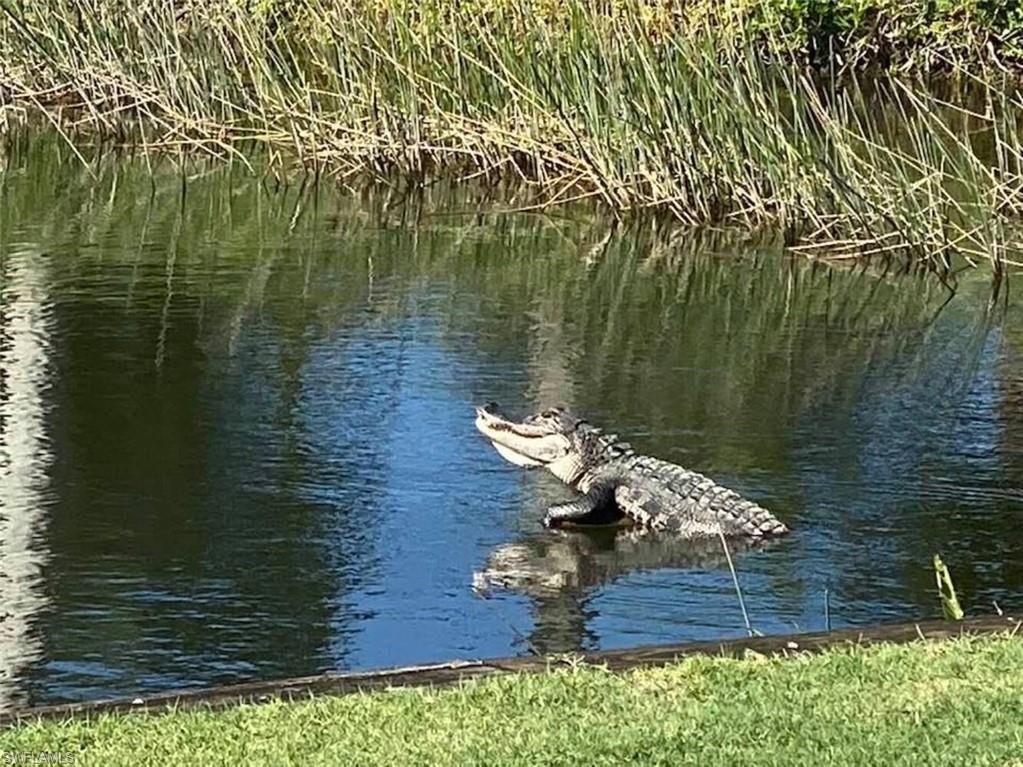 LAKESIDE GREEN - Residential