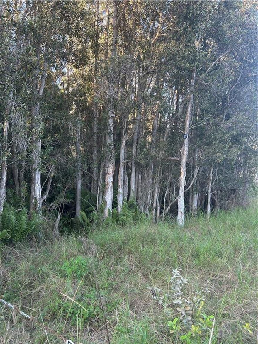 Excellent opportunity to own 2.5 acres of vacant land in Punta Gorda, Florida Zone AG [Agricultural] with multiple potential uses. Property is located outside city limits with county-only taxes. No HOA and deed restrictions. Convenient access to main roads. Buyer to verify zoning, land use, and utility availability