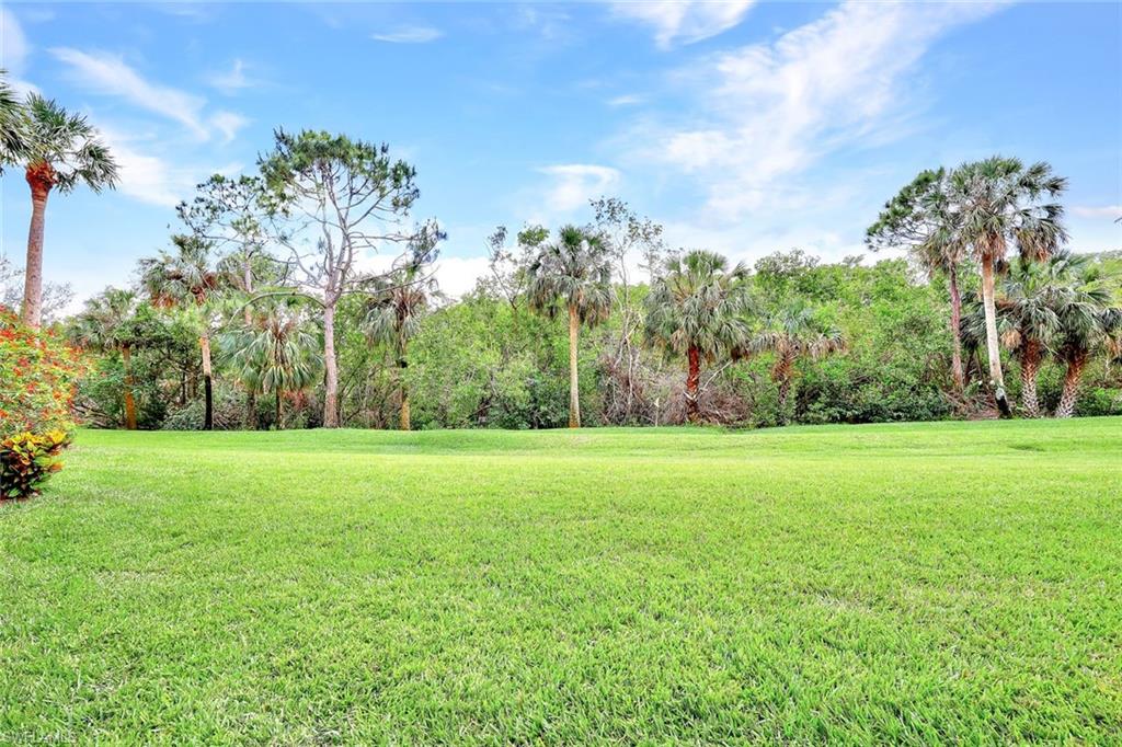 POINTE AT PELICAN LANDING - Residential