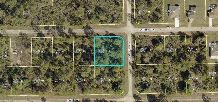 Beautiful corner lot located in a nice and quiet neighborhood! This spacious lot is perfect for building your future home. Don’t miss the opportunity to own property in a rapidly growing area of Lehigh Acres — ideal for investment or your dream residence.