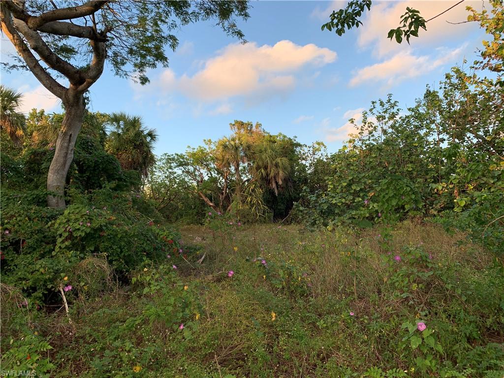 SANIBEL BAYOUS - Land