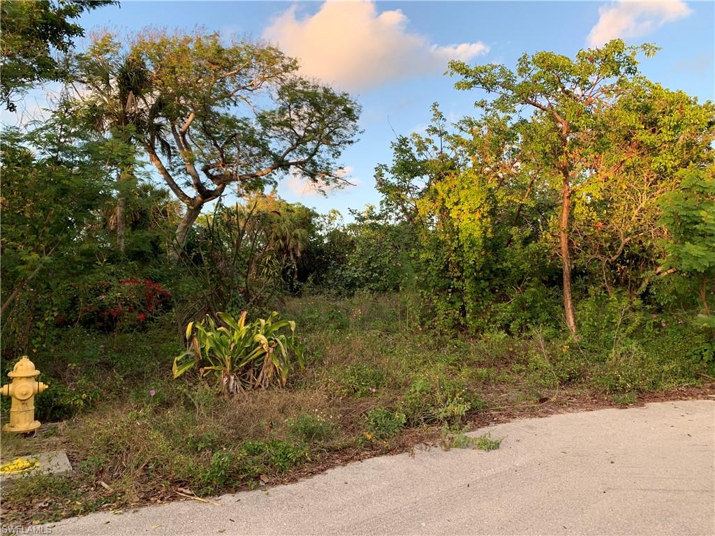 SANIBEL BAYOUS - Land