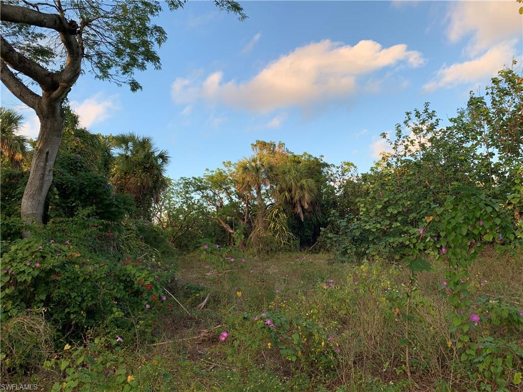 SANIBEL BAYOUS - Land