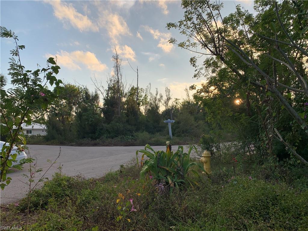 SANIBEL BAYOUS - Land