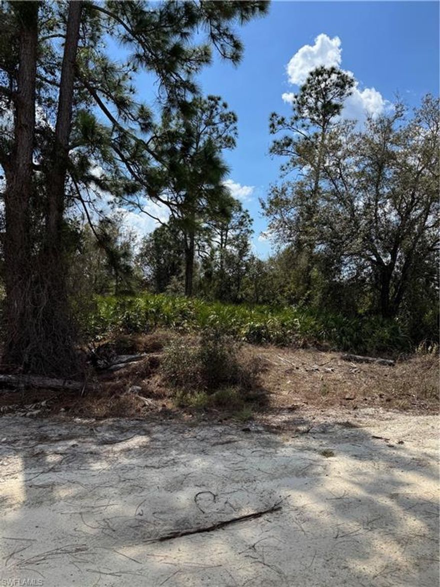 Oversized lot (1.25 acres) in area of million-dollar homes. Build your dream home with your favorite farm animals or keep for long-term appreciation. There are established homes on 3rd Ter which will make pulling electricity to this lot a simple task. Minutes to Lehigh Acres and easy access to main roads into Fort Myers and all that SW Florida has to offer: spring training for the Red Sox and Twins, world class and casual dining, ever-expanding shopping areas, year-around sunshine and miles of gorgeous sandy beaches! It doesn't get much better than this! Call today for more information.
