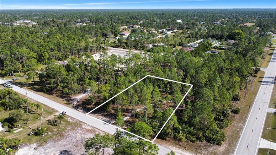 Vacant lot in a quiet and desirable area of Lehigh Acres. Close to shopping, groceries, restaurants, medi
dream Florida home!