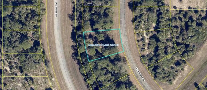 Check out this lot for investment or to build your new construction home. Lacated in desirable Banyan Village.  Just minutes to restaurants & shopping. Labelle laid back living at its best!