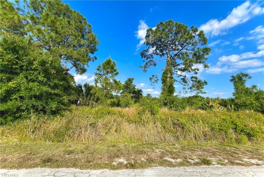 GREAT LOCATION in COUNTRY CLUB EAST 1/2 ACRE LOT on a paved quiet DEAD END street with utilities & CITY WATER available. Just minutes from major amenities and a quick commute to Fort Myers. Come build your DREAM HOME or INVEST today!