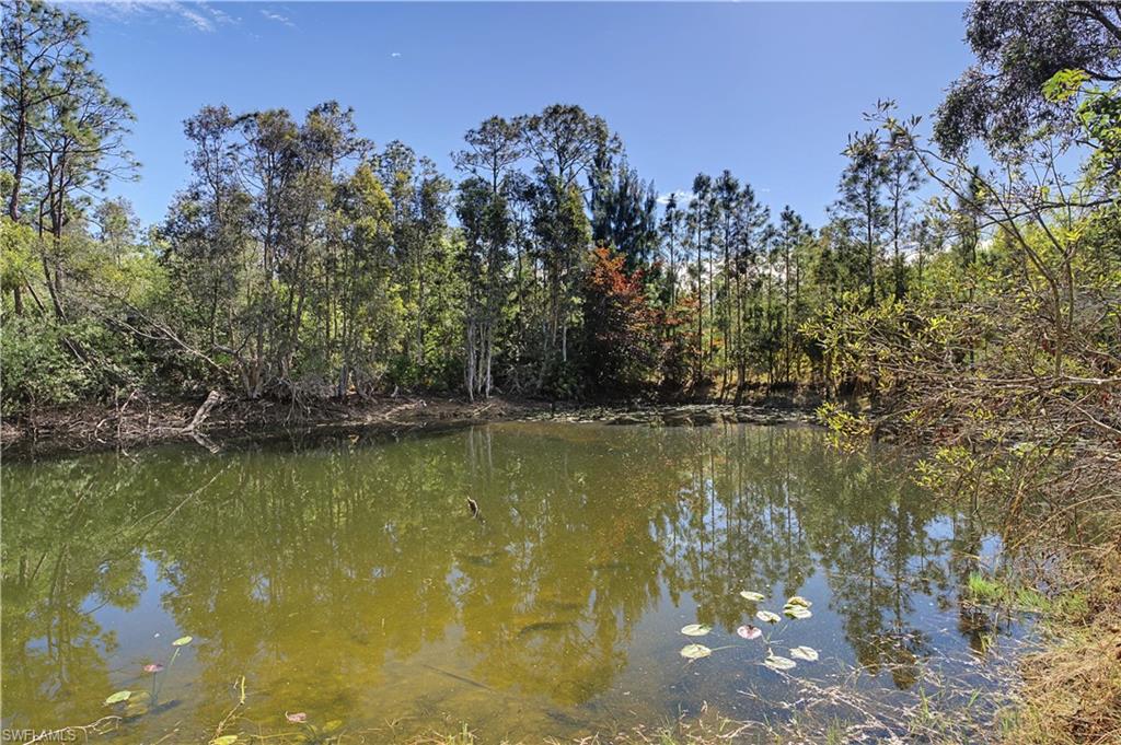 NORTH FORT MYERS - Residential