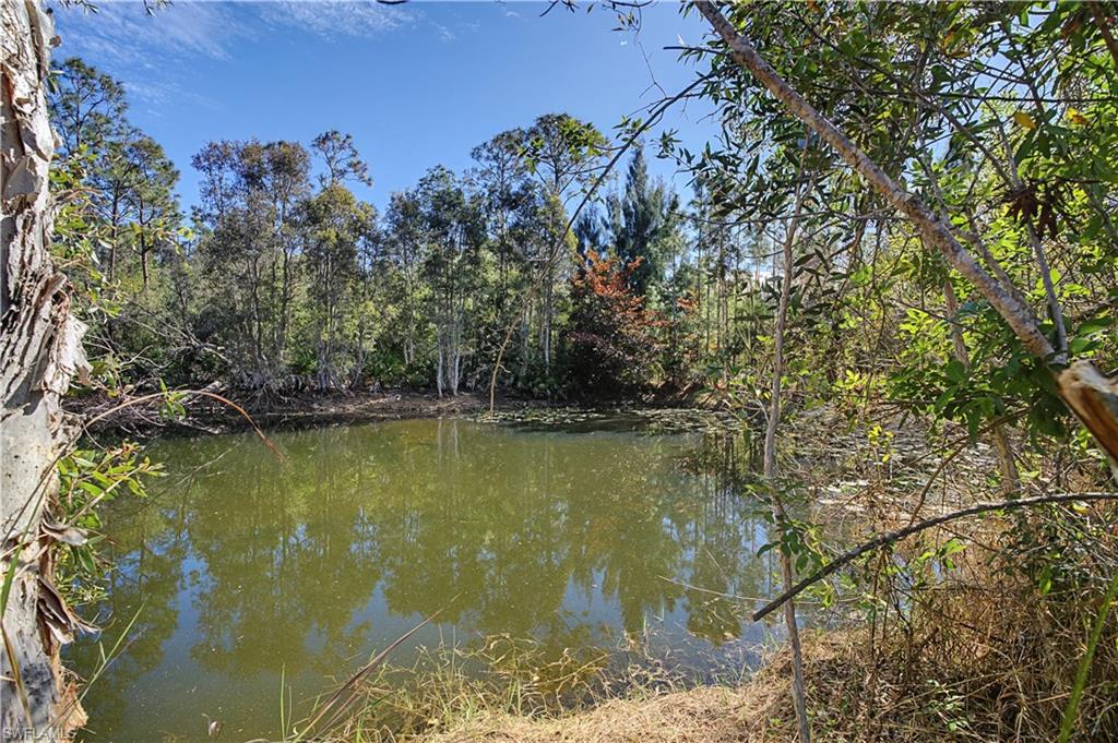 NORTH FORT MYERS - Residential