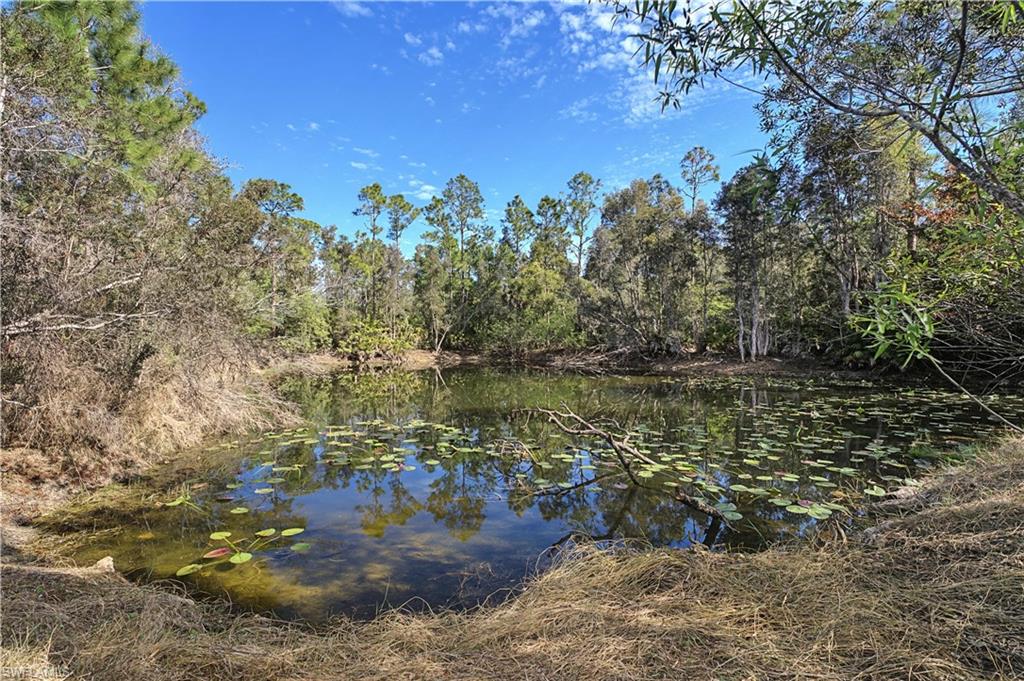 NORTH FORT MYERS - Residential