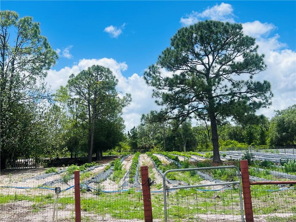 LABELLE ACRES - Residential