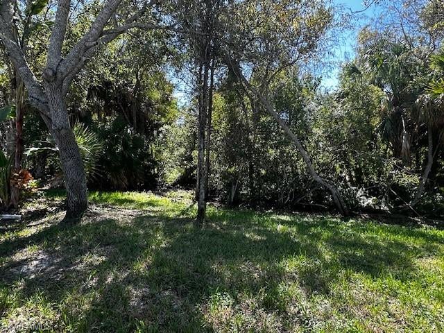 1490 Diamond Lake CIR
