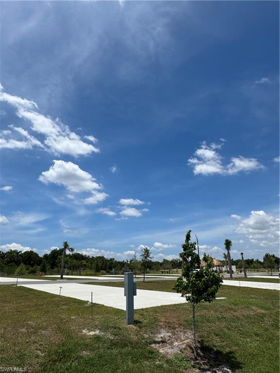 PALM BREEZE - Land