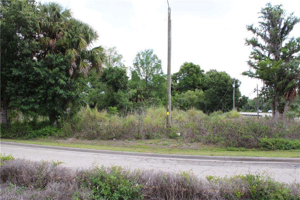 CAPE CORAL - Land