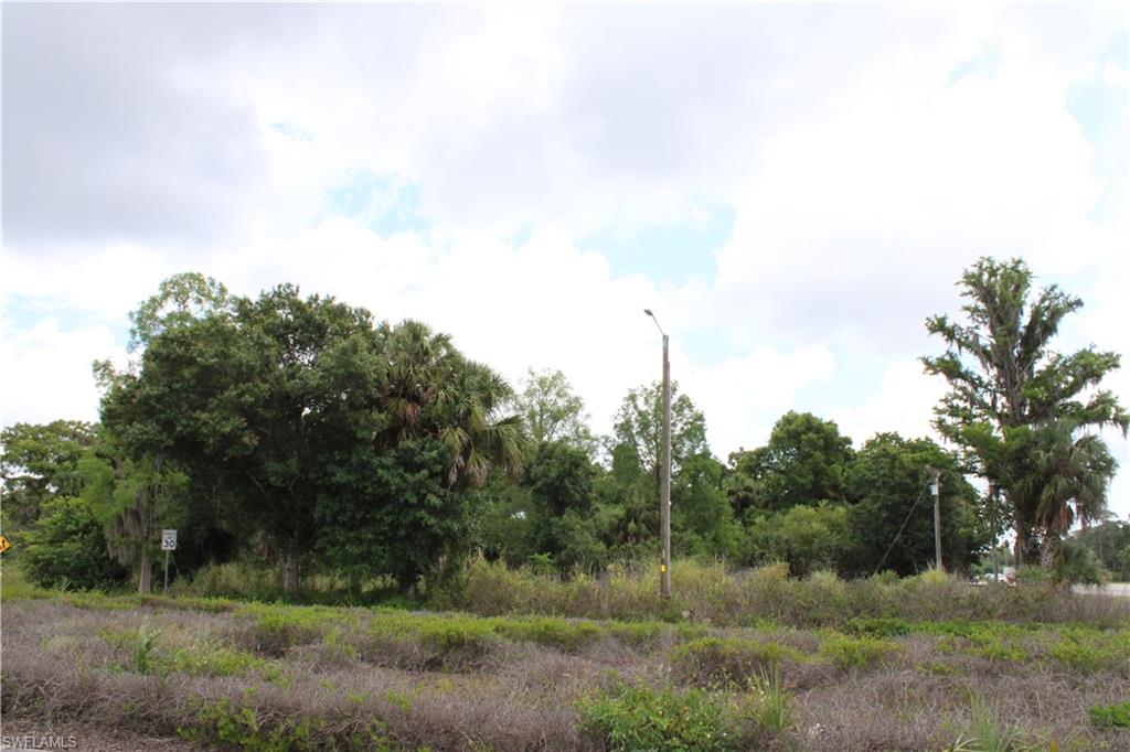 CAPE CORAL - Land