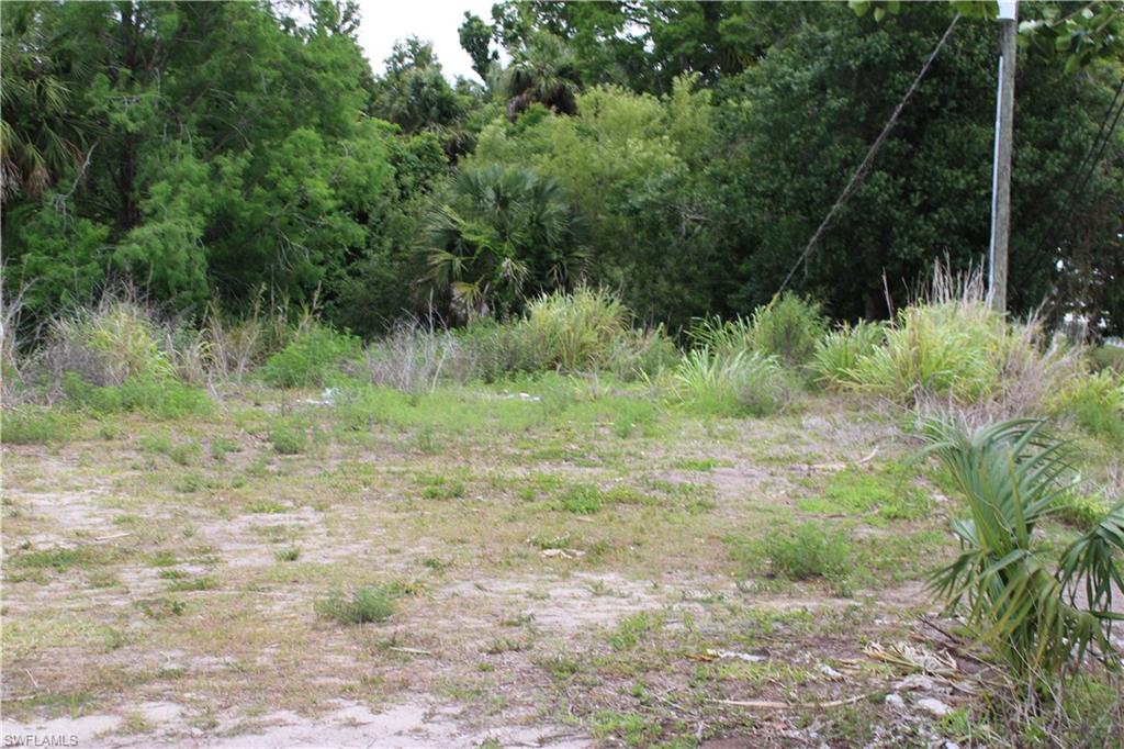 CAPE CORAL - Land