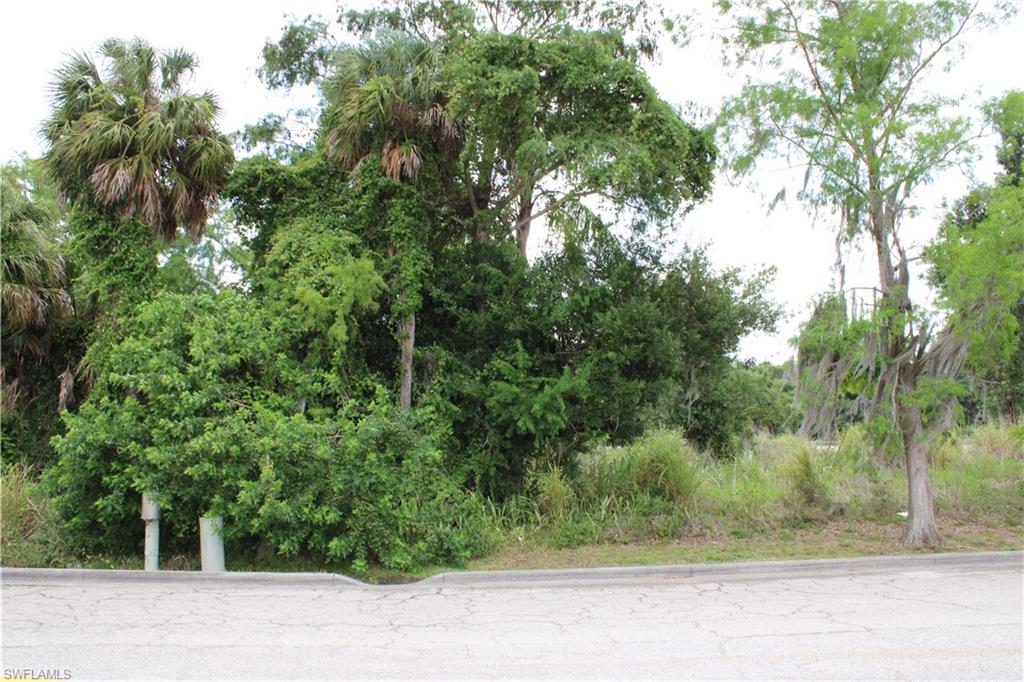 CAPE CORAL - Land