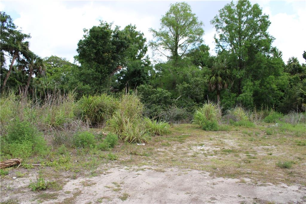 CAPE CORAL - Land