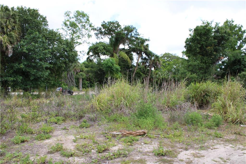 CAPE CORAL - Land