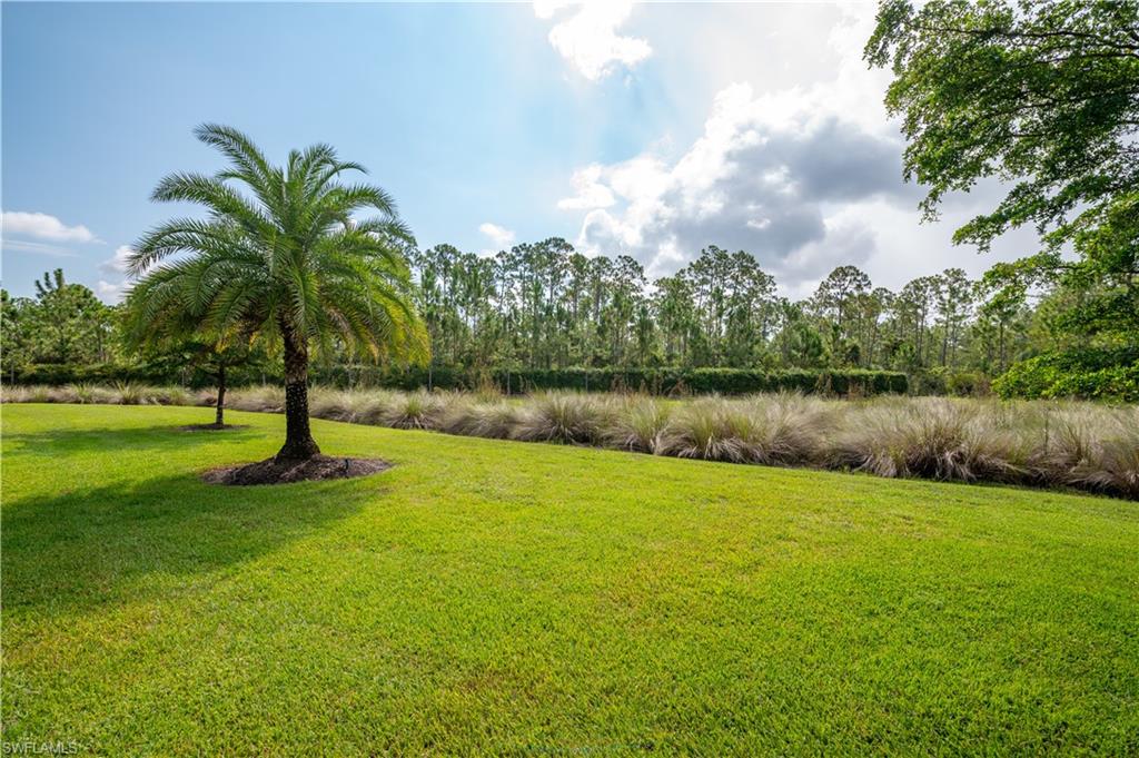 CORKSCREW SHORES - Residential