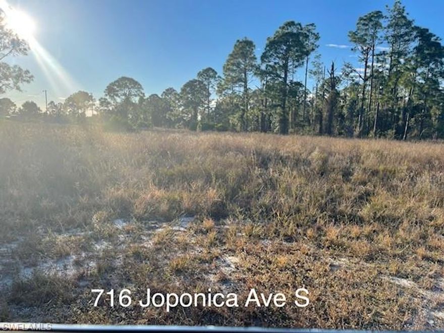 Beautiful lot for your new home.  Vacant residential lot for sale in a fast growing neighborhood with a lot of new construction.  Very close to schools and shopping.  Close to SR82 for quick access to Fort Myers.  Priced to sell!!  Call today!!
