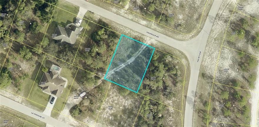 Don't miss this opportunity to acquire a prime lot in one of the best areas of Lehigh Acres. Conveniently located near RS-82, this property is ideal for residential development.