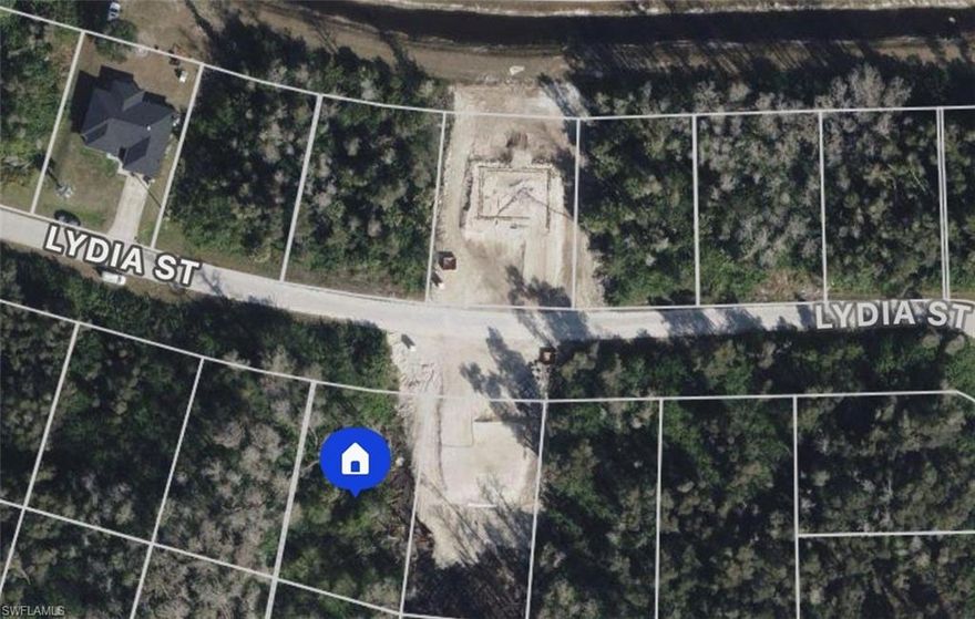 Paved road and electric at the curb. New construction directly adjacent to the parcel and in futon the parcel. Impossible to be closer to SR82. Easy to clear and start building. Buildable parcel. Hablo Espanol.