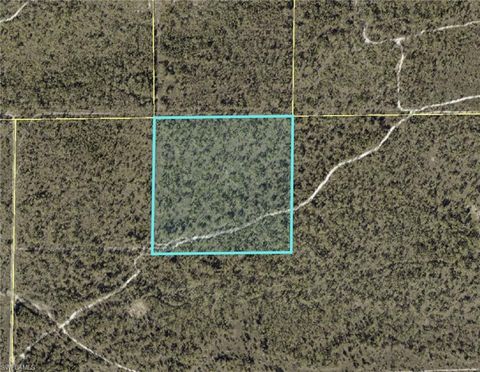 4 NE 1ST RD CAPE CORAL FL 33993