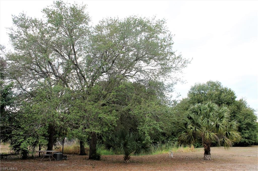 MONTURA RANCH ESTATES - Residential