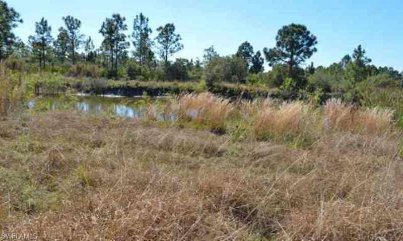 PUNTA GORDA - Residential