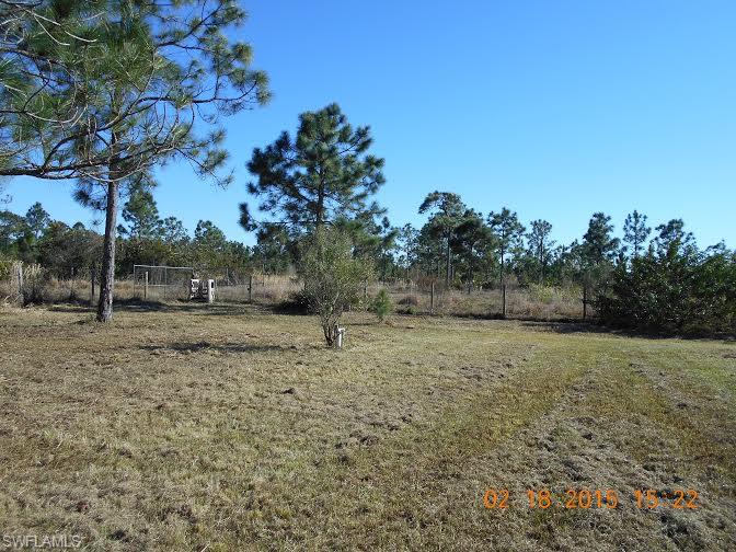 PUNTA GORDA - Residential