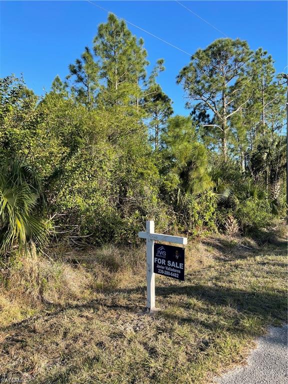 LEHIGH ESTATES - Land