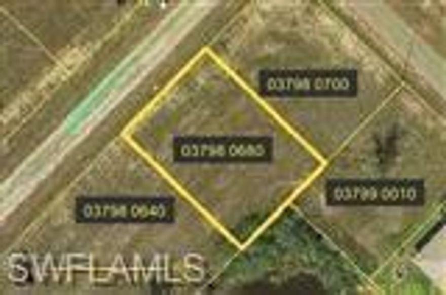 Visualize building your dream home here and gazing up the expansive length of AMAZING ASA LAKE. Imagine relaxing on your lanai with your morning coffee, or a cool drink at sunset, as you watch the fish jump and the turtles play. Picture the sun's warm, inviting, rays dancing across the top of the sparkling water from this partial lakefront oversized 90' x 125' lot. Quiet neighborhood with well-maintained homes. Close to shopping, restaurants, and Ft. Myers.